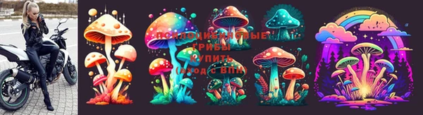 гидропоника Зеленокумск