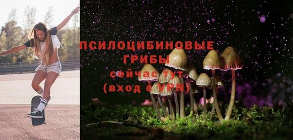 твердый Зеленодольск