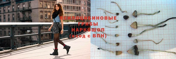 a pvp Зерноград