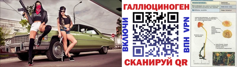 Галлюциногенные грибы Psilocybe  Купить где  Шимановск 