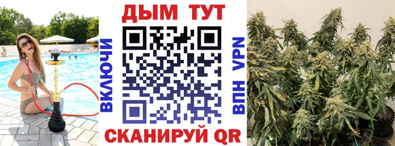 Купить где  Шимановск  Бошки марихуана сатива 